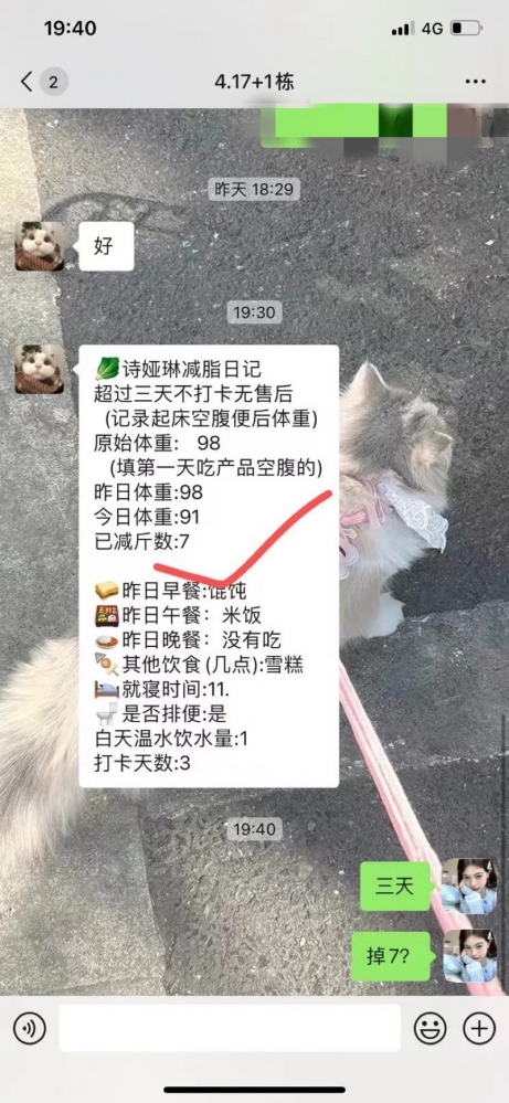 小猪导航