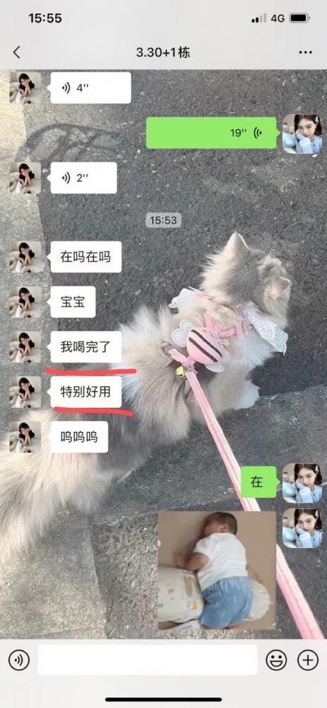 小猪导航