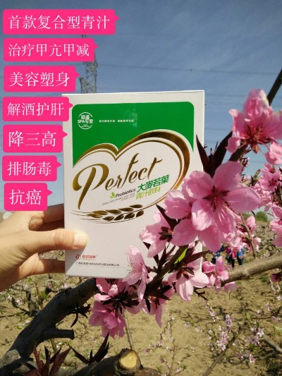 花红药业,花红完美大麦若叶青汁 - 小猪导航 - 社交电商行业全国微信群二维码导航平台大全